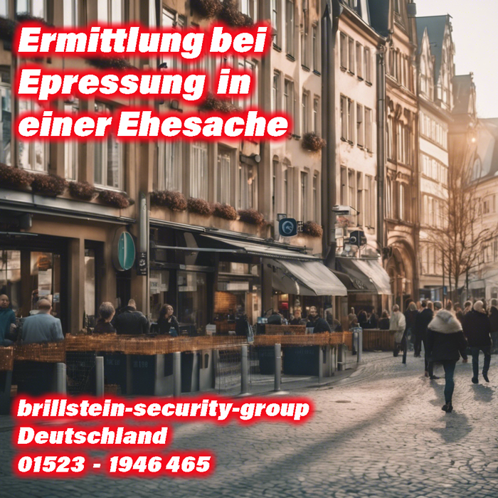 Brillstein Security Privatdetektiv